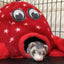 Marshall Pet Products Ferret Octo-Play Toy Octopus Red One Size