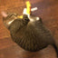 Yeowww Banana Catnip Cat Toy Yellow, 7 in