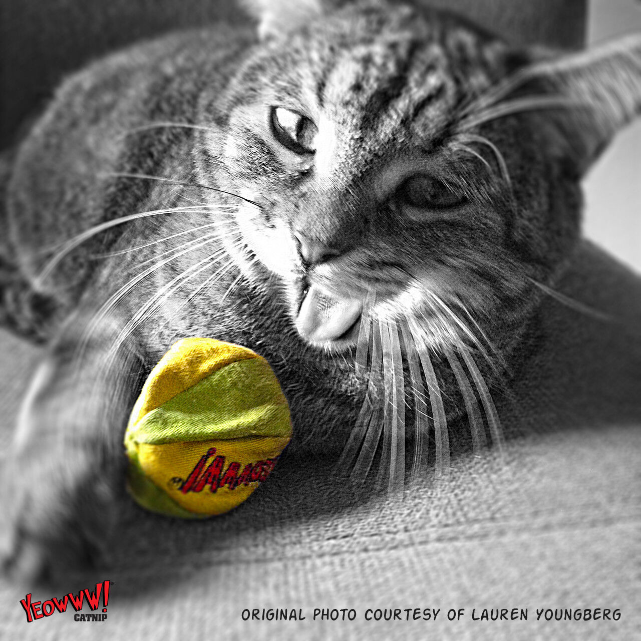 Yeowww LadyKrinkleBug Catnip Cat Toy