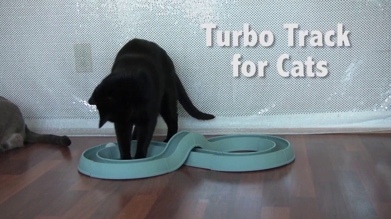Bergan Turbo Track Cat Toy Slate Blue, 1ea/1 pk