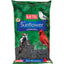 Kaytee Black Oil Sunflower 5 Pounds
