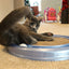 Bergan Turbo Scratcher Cat Toy Assorted, 1ea