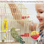 JW Pet ActiviToy Fancy Mirror Bird Toy Multi-Color Small Medium