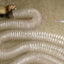 Marshall Pet Products Ferret Super Thru-Way Tunnel Toy Copper 1ea/15 ft