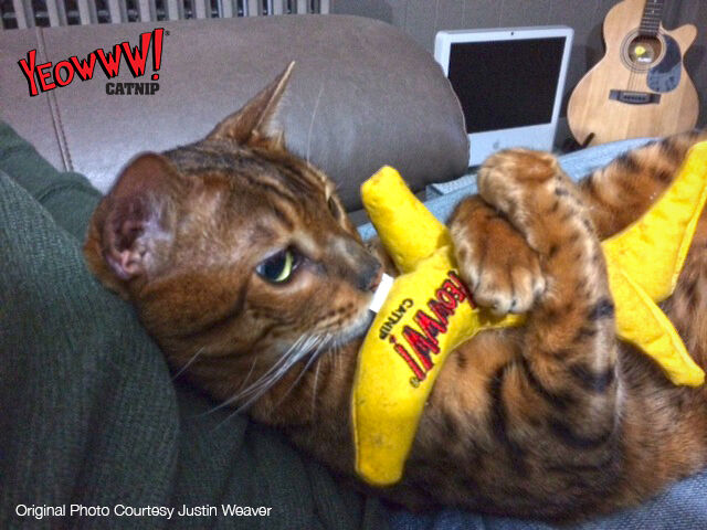 Yeowww Banana Catnip Cat Toy Yellow, 7 in