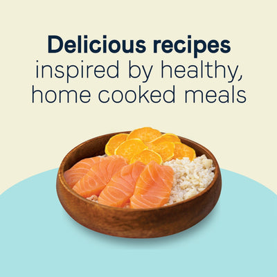 CANIDAE Balanced Bowl Canned Cat Food Salmon  Sweet Potato, 24ea/3 oz