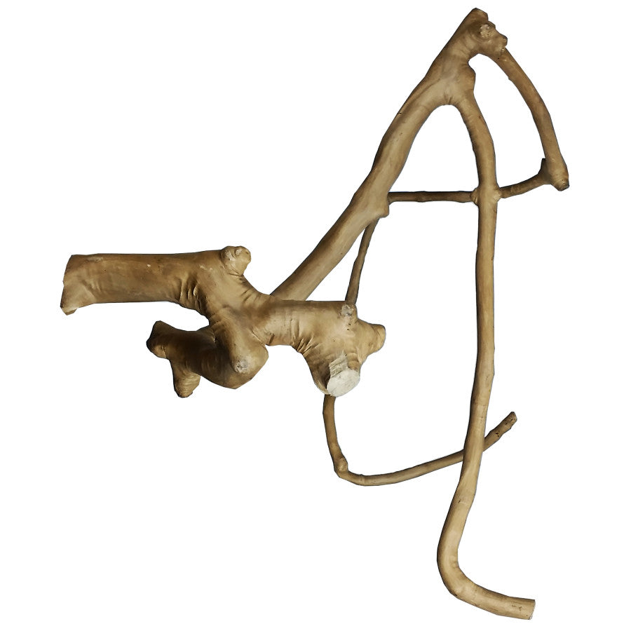 A&E Java Wood Multi Branch Bird Perch Large