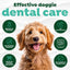 TropiClean Fresh Breath Oral Care Water Additive for Dogs 1ea/33.8 fl oz