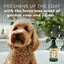 Tropiclean Dog Essentials Deodorizing Spray Jojoba 16oz. Default Title
