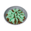 Outward Hound Fun Feeder Wobble Slo-Bowl Dog Bowl Mint, 1ea/20oz.