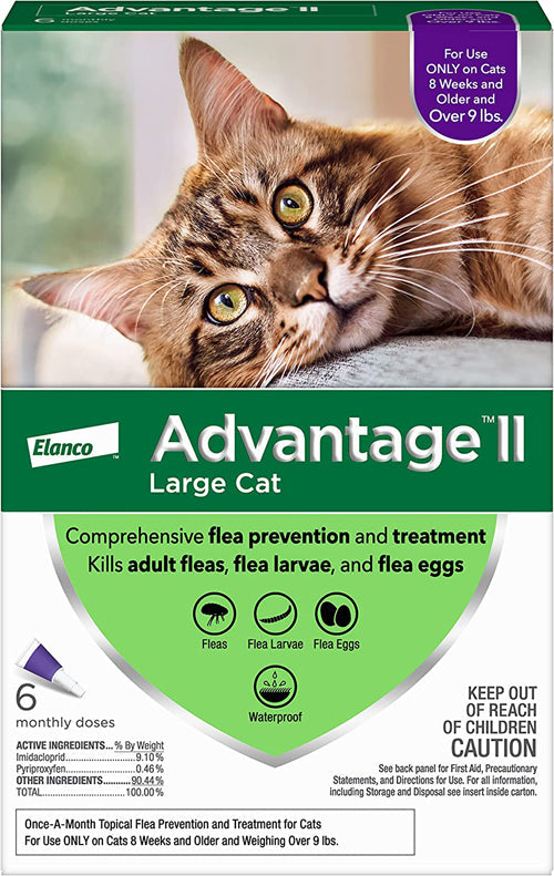 Advantage II Cat Large Purple 6-Pack - All Pet Super Store