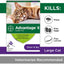 Advantage II Cat Large Purple 6-Pack - All Pet Super Store