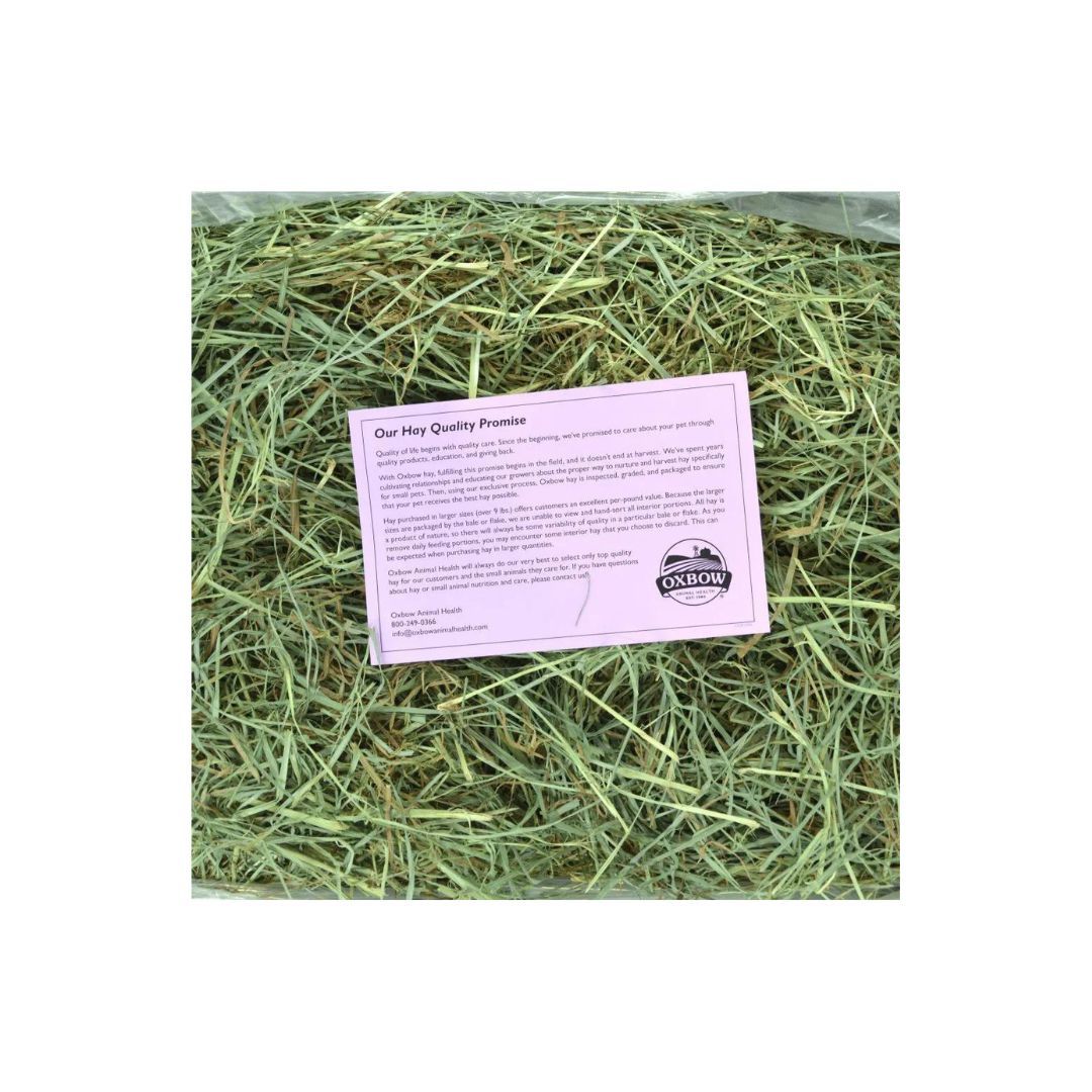 !!OXBOW S ORCHRD GRASS 15OZ