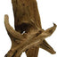 Galapagos Sinkable Driftwood Brown 11 in - 13 in Medium