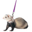 Marshall Pet Products Ferret Harness and Lead Set Purple