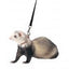Marshall Pet Products Ferret Harness and Lead Set Blue