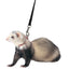 Marshall Pet Products Ferret Harness and Lead Set Blue