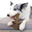 !Benebone Fishbone Dog Chew Toy Salmon, 1ea/MD