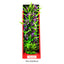Aquatop Vibrant Garden Plant Purple; 1ea-16 in