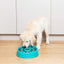 Zippypaws Happy Bowl Slow Feeder Donut Green Medium