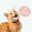 Kin+Kid Natural Kitty Ear Cleaner 4oz.
