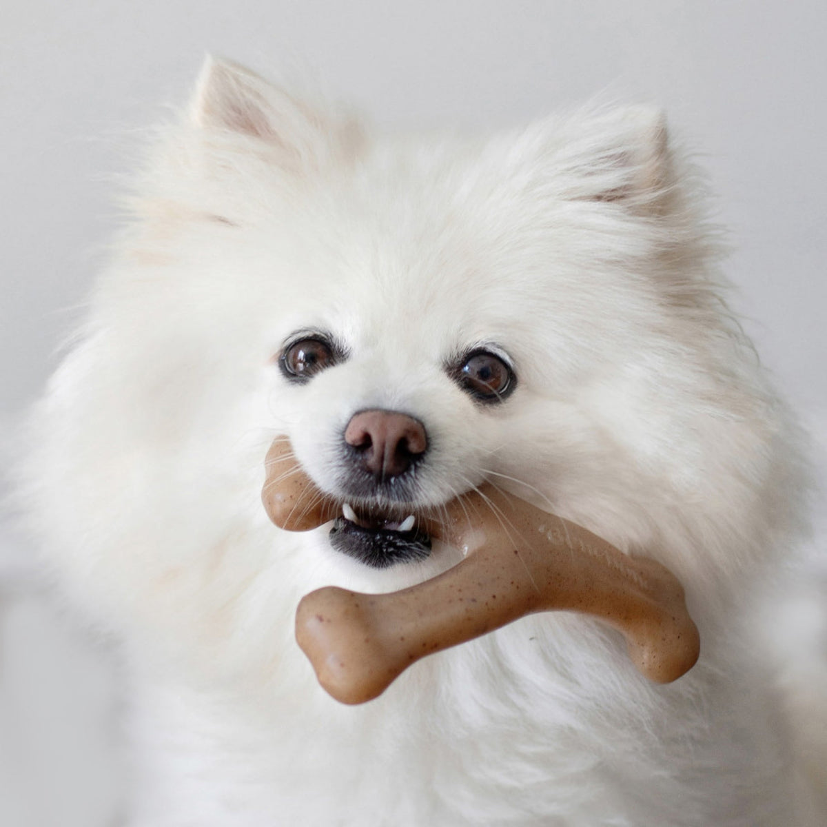 !Benebone Wishbone Durable Dog Chew Toy Bacon, 1ea/SM