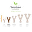 !Benebone Wishbone Durable Dog Chew Toy Bacon, 1ea/SM