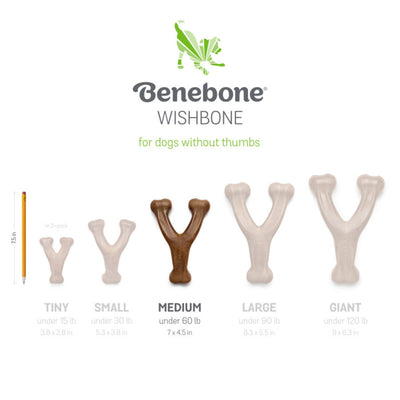 !Benebone Wishbone Durable Dog Chew Toy Chicken, 1ea/MD