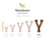 !Benebone Wishbone Durable Dog Chew Toy Bacon, 1ea/Giant