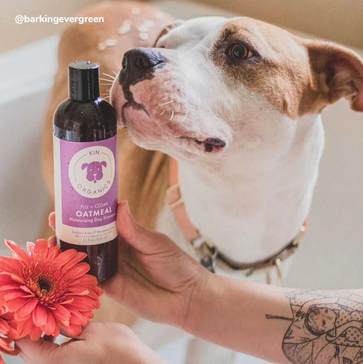 Kin+Kid Coat Oatmeal Fig+Cedar 12oz. Kin Organics Shampoo