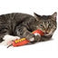 Petstages Green Magic Dynamite Catnip Toy Red 1ea/One Size