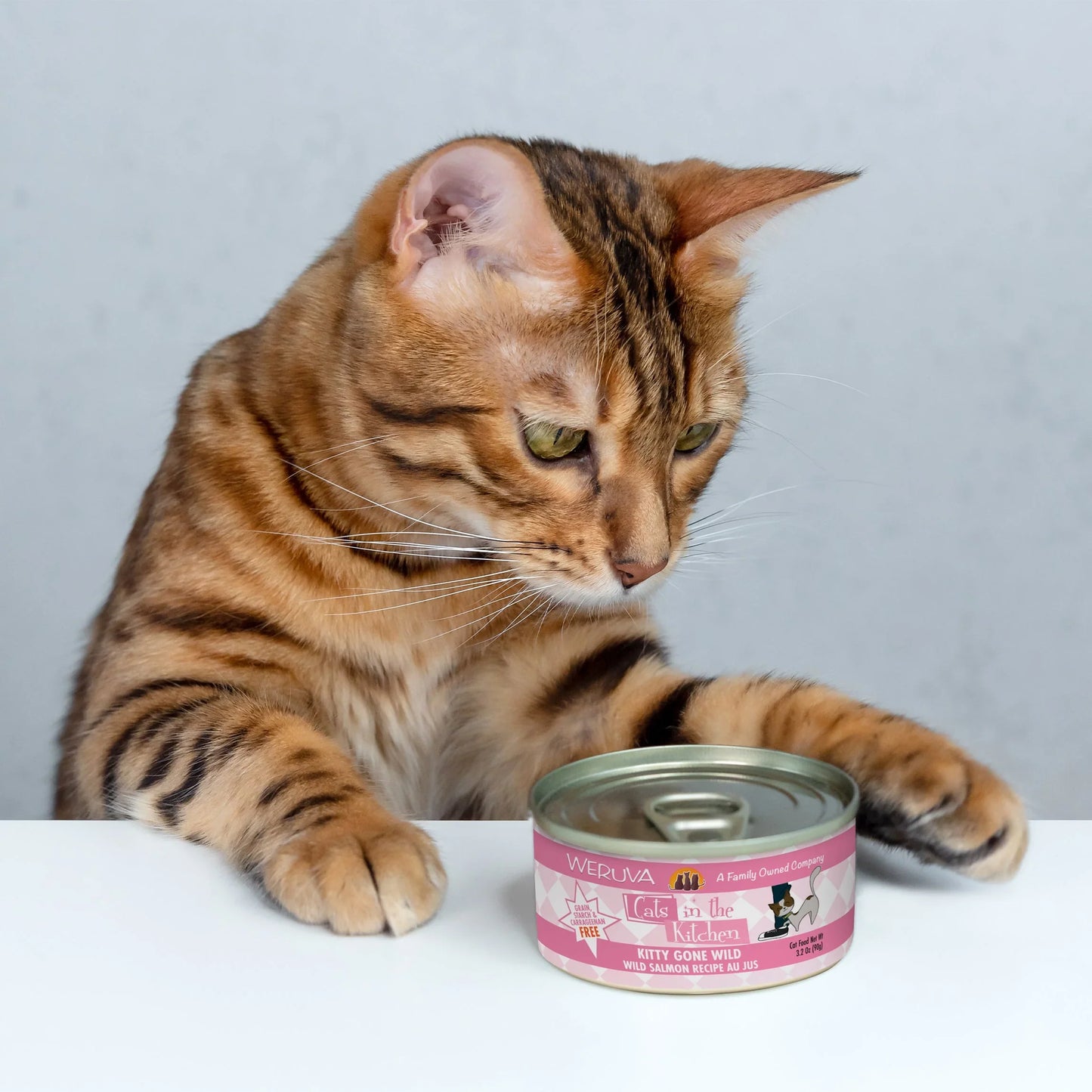 !CITK C KITTY GONE WLD 10OZ
