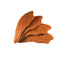 Farmland Traditions Simple Snacks Chicken Jerky Tenders Dog Treats 1ea/16oz.