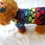 Skull Halloween Pet Clothes: Spooky Ghost Head Vest
