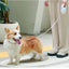 Dog Luminous Leash With Lights Small Medium Dogs Automatic Retractable Dog Walking Leash Teddy Travel Pet Supplies Accessories