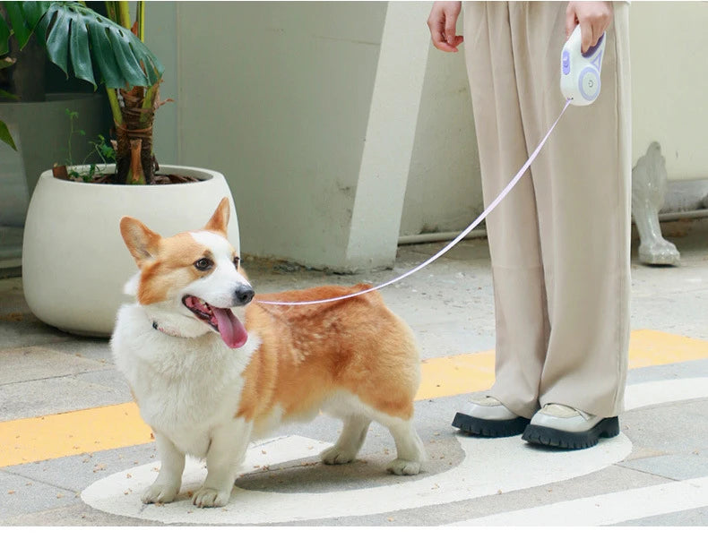 Dog Luminous Leash With Lights Small Medium Dogs Automatic Retractable Dog Walking Leash Teddy Travel Pet Supplies Accessories