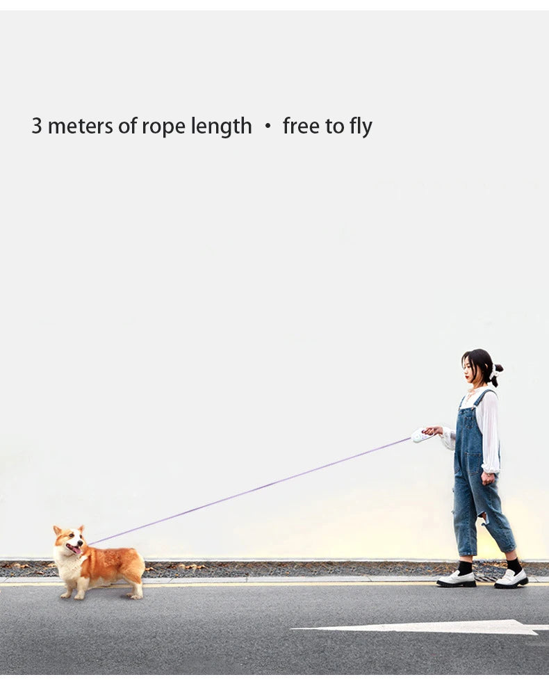 Dog Luminous Leash With Lights Small Medium Dogs Automatic Retractable Dog Walking Leash Teddy Travel Pet Supplies Accessories