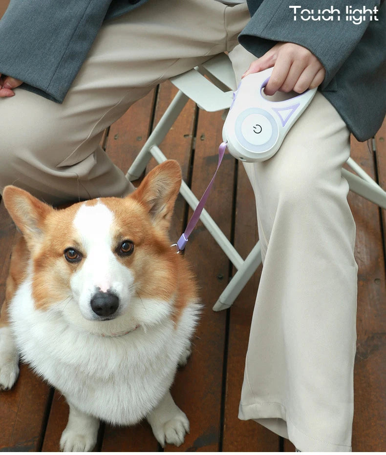 Dog Luminous Leash With Lights Small Medium Dogs Automatic Retractable Dog Walking Leash Teddy Travel Pet Supplies Accessories