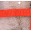 5 Color Adjustable Pet Cat Collar For Cats Cozy Nylon Rabbit Kitten Kedi Harness Leash Set Dog Cat Accessories Products For Pets
