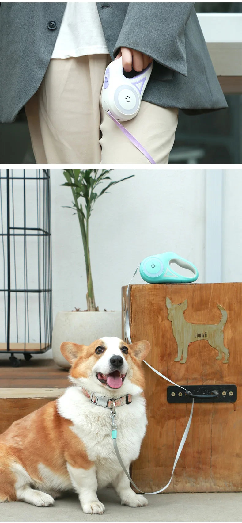 Dog Luminous Leash With Lights Small Medium Dogs Automatic Retractable Dog Walking Leash Teddy Travel Pet Supplies Accessories