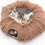 Two cats in a plush, round pet bed on a white background