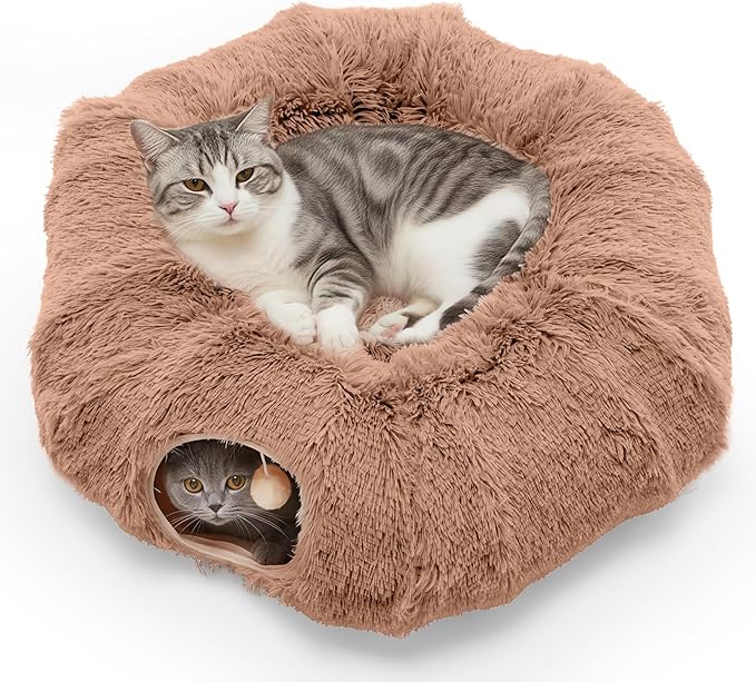 Two cats in a plush, round pet bed on a white background