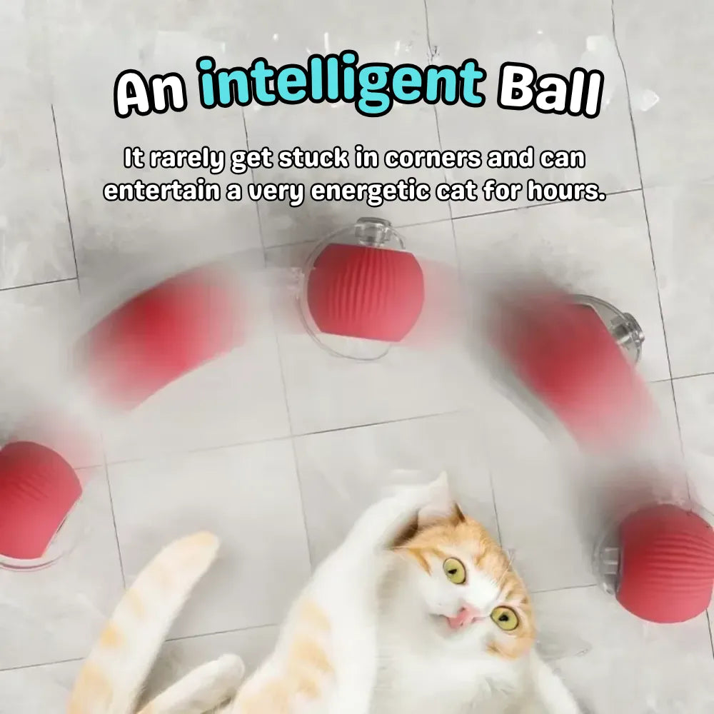 Cat playing with a red ball on a tiled floor, with text describing the ball's features.