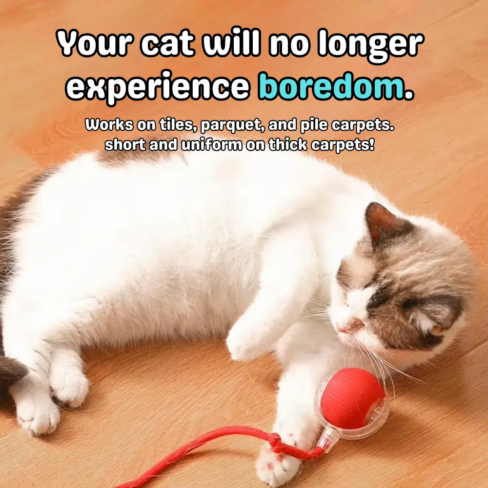 Cat playing with a red toy on a wooden floor, text about cat boredom solutions.