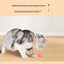 Laser Cat Teaser Collar Smart Cat Teaser Toy Pet Supplies Self-Entertainment Automatic Cat Teaser Toy Cat Teasing Artifact