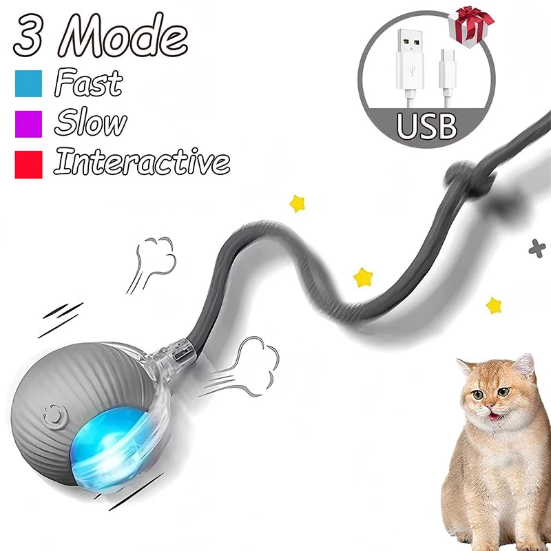 Cat Interactive Ball Toys Automatic Rolling Ball Faux Tail Rechargeable Smart Pet Electric Toy Dog Cat Training Imitate Mouse