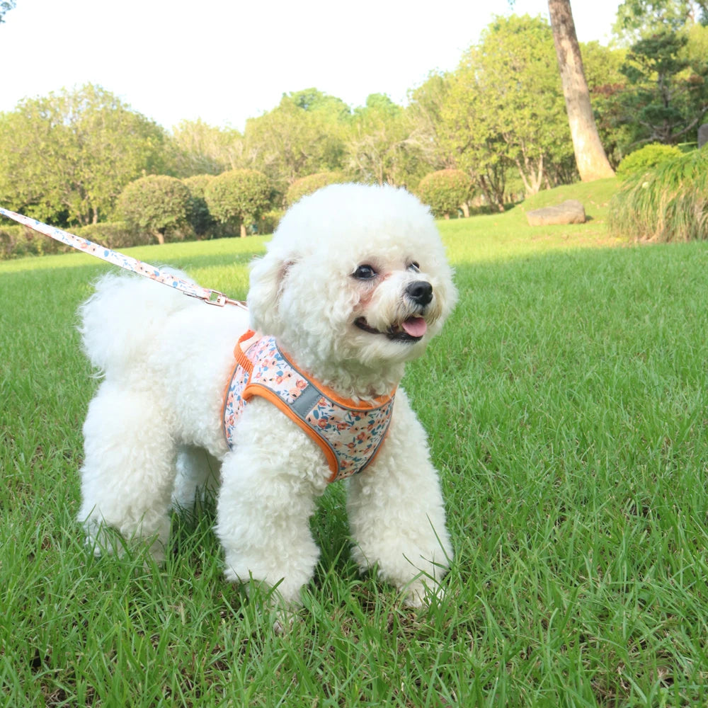 Small Dog Harness Leash Set Cute Traction Bracelet Medium Cat Collar Suit Soft Puppy Vest Harness Adjustable Pet Accessories