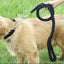 Dog leash for effective training and comfortable walking, strong and durable braid, suitable for large dogs, dog training leash