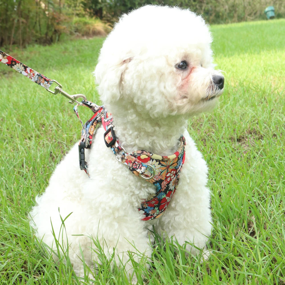 Small Dog Harness Leash Set Cute Traction Bracelet Medium Cat Collar Suit Soft Puppy Vest Harness Adjustable Pet Accessories