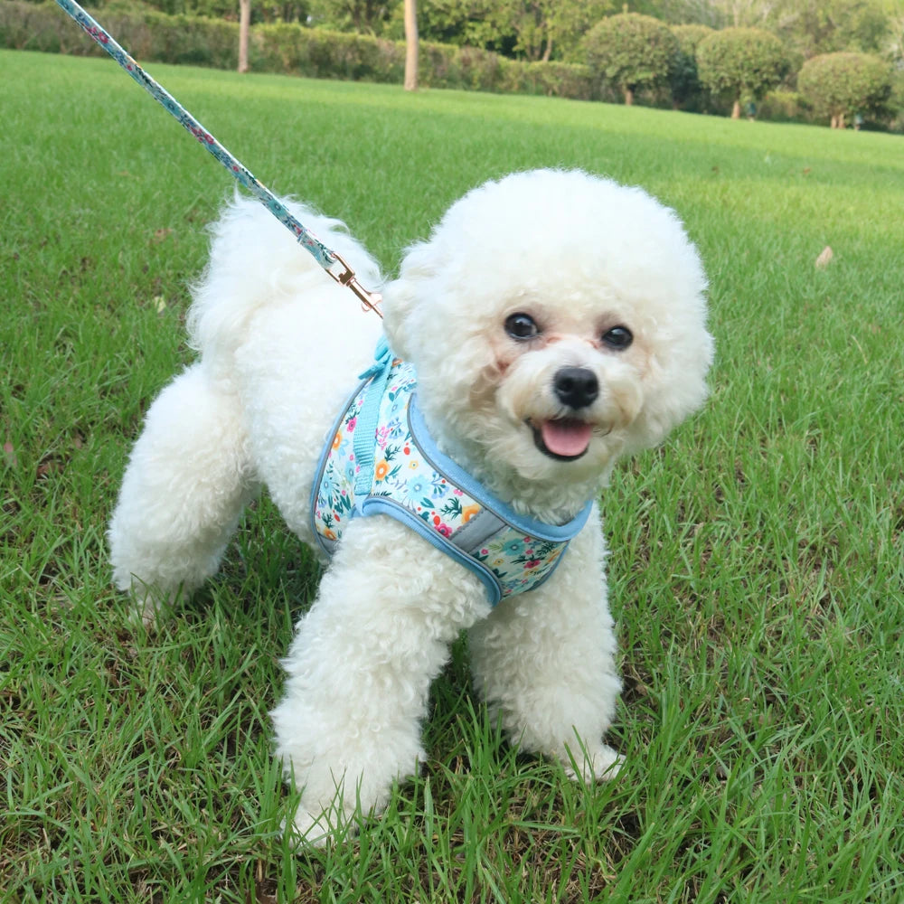 Small Dog Harness Leash Set Cute Traction Bracelet Medium Cat Collar Suit Soft Puppy Vest Harness Adjustable Pet Accessories